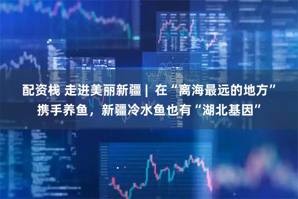 配资栈 走进美丽新疆 |  在“离海最远的地方”携手养鱼，新疆冷水鱼也有“湖北基因”