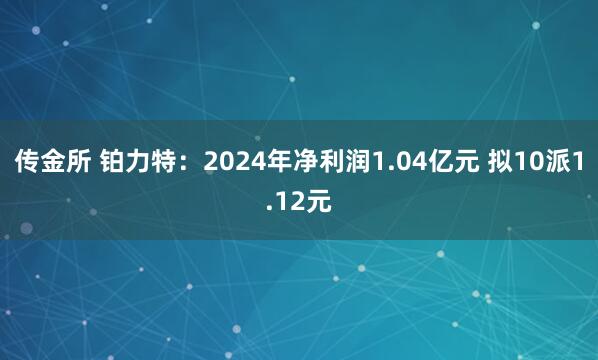 传金所 铂力特：2024年净利润1.04亿元 拟10派1.12元